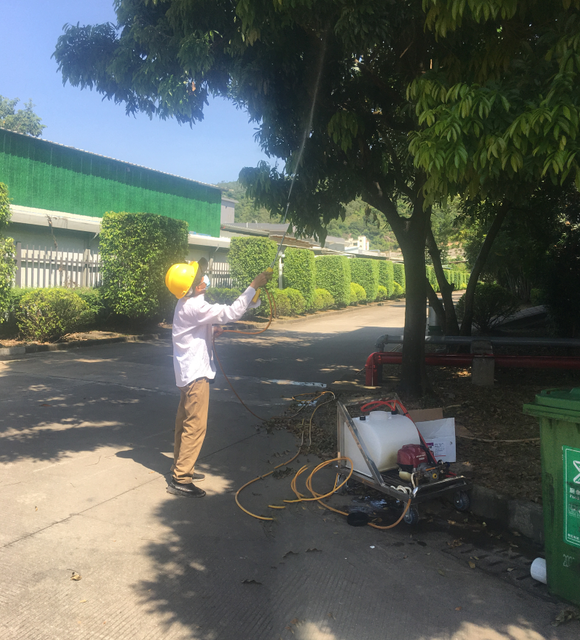 珠海工廠(chǎng)電纜園林白蟻滅殺預(yù)防